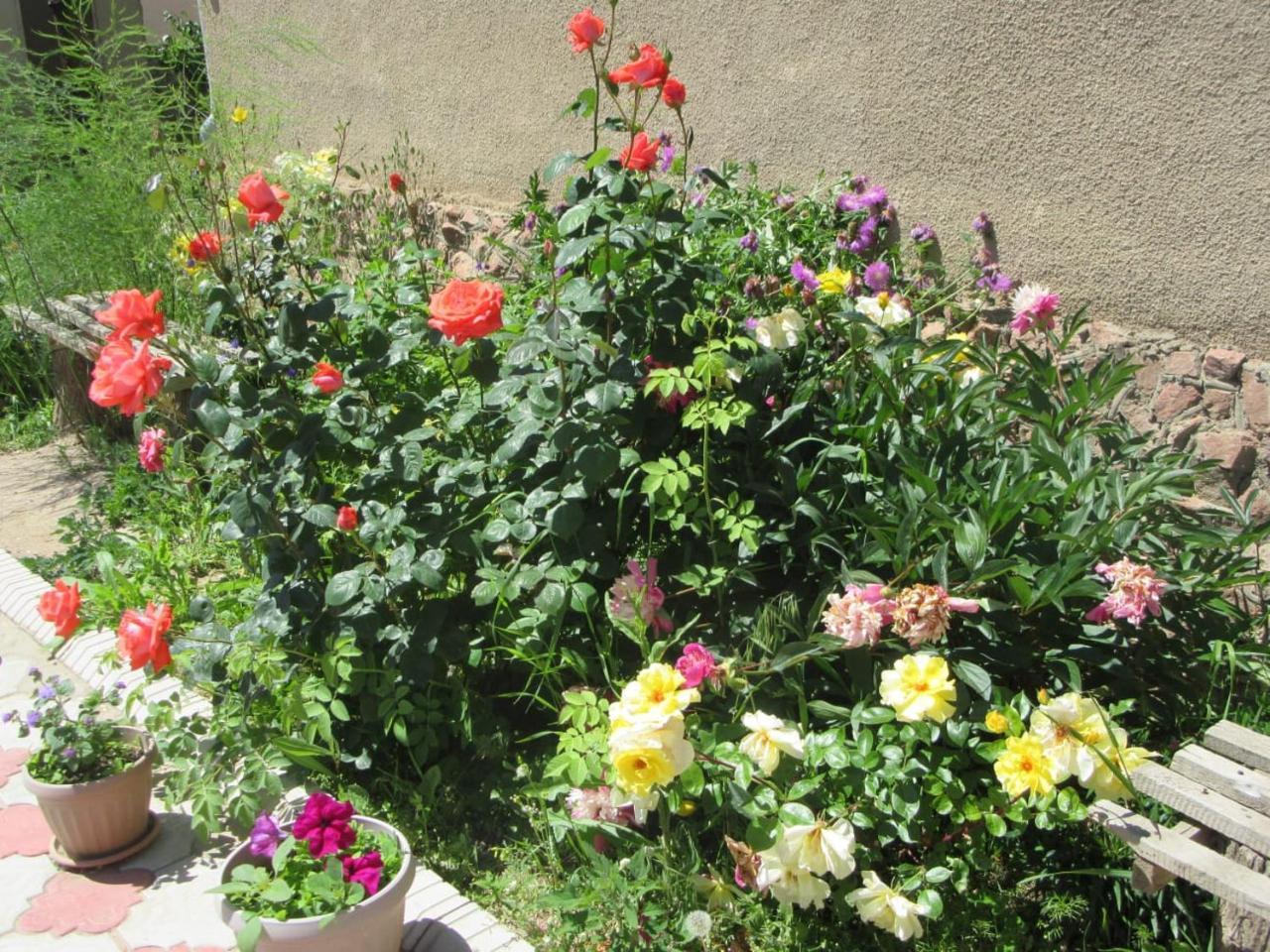 "Bilim" Guest House Tamchy Exteriör bild